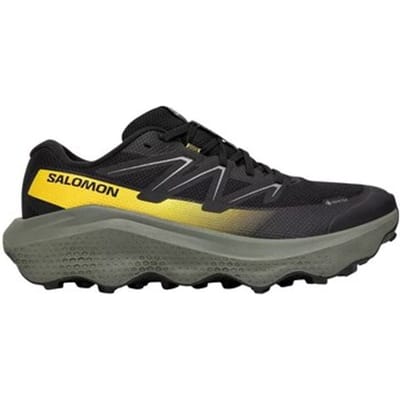 Wandelschoenen Salomon Ultra Flow 2 Gtx