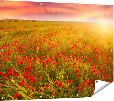Gards Tuinposter Rode Klaproos Bloemenveld - Zonsondergang - 120x90 cm - Tuindoek - Tuindecoratie - Wanddecoratie buiten - Tuinschilderij