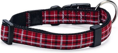 Collar tartan s 30-45 cm 15 mm