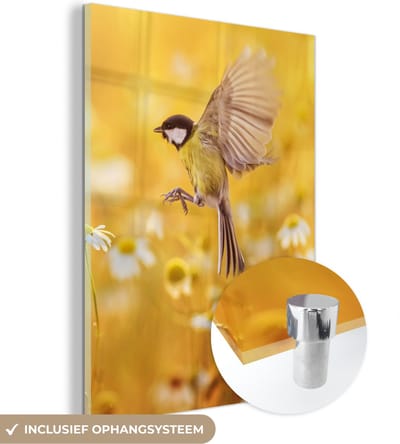 MuchoWow® Glasschilderij 30x40 cm - Schilderij acrylglas - Vogel - Koolmees - Bloemen - Margriet - Foto op glas - Schilderijen