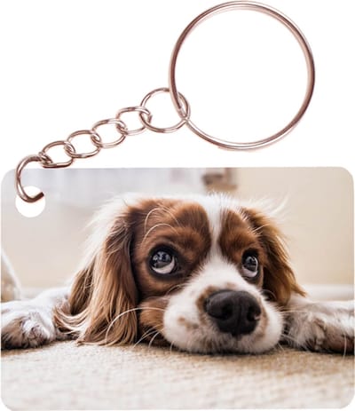 Sleutelhanger 6x4cm - Cocker Spaniel Liggend