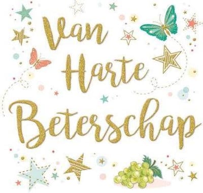Wenskaart Beterschap Zizi xl
