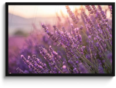 Poster in lijst - Fotolijst 90x60 cm - Posters - Lavendel - Paars - Zonlicht - Posterlijst zwart - Decoratie - Wanddecoratie woonkamer - Muurdecoratie slaapkamer