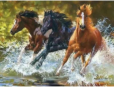 Diamond painting - Paarden in het water - Geproduceerd in Nederland - 40 x 60 cm - canvas materiaal - vierkante steentjes - Binnen 2-3 werkdagen in huis