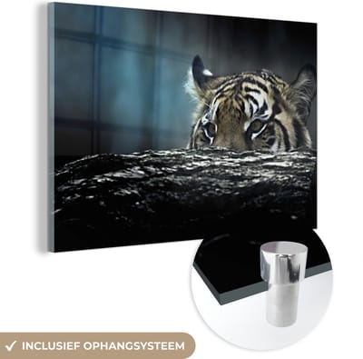 MuchoWow® Glasschilderij 60x40 cm - Schilderij acrylglas - Tijger - Boomstam - Camouflage - Foto op glas - Schilderijen