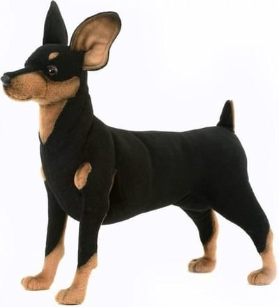 Hansa Pluche Pincher hond - 43 cm - knuffel hond - huisdieren knuffelhond - realistische knuffels