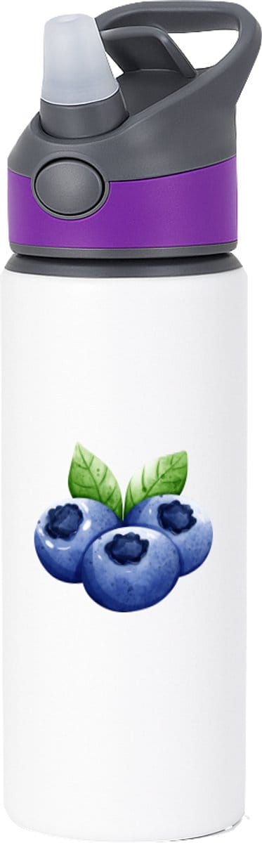 Hacebo® - Blauwe bessen waterfles met rietje paars - Fruitschaal - Fruit liefhebbers - Bosbes - blaadjesfruit - gezond eten - water fles - 650ML
