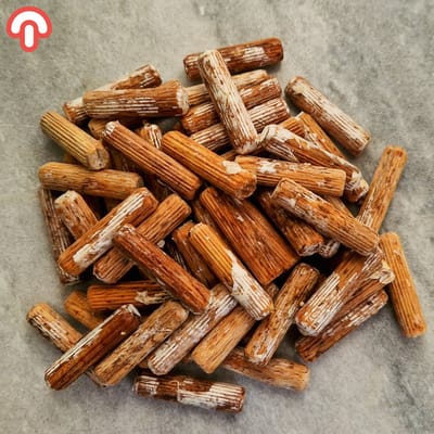 Samzwam Pluggen - Eikhaas (Maitake) Deuvels - 25 stuks - Rijke Smaak - Ondersteunt Immuunsysteem