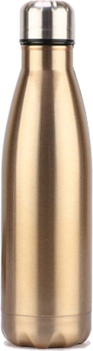 Sparkle&Dream - Drinkfles Stainless Steel - Goud - Voor Turnen en Gymnastiek