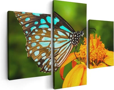 Artaza Canvas Schilderij Drieluik Blauwe Vlinder Bij Een Oranje Bloem - 90x60 - Foto Op Canvas - Canvas Print