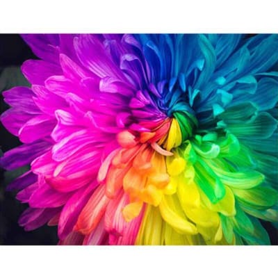 Diamond Painting Cross Stitch Zeven gekleurde chrysant bloem Diamond borduurwerk 20X30CM purple