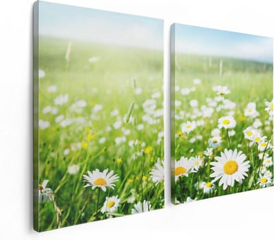 Artaza Canvas Schilderij Tweeluik Bloemenveld Van Madeliefjes - Bloemen - 120x80 - Foto Op Canvas - Canvas Print