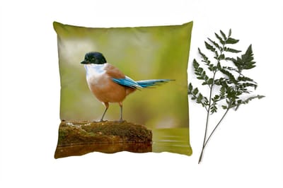 Sierkussens - Kussentjes Woonkamer - 40x40 cm - Ekster - Vogel - Mos