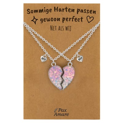 BFF Ketting voor 2 'Sommige harten passen perfect' - Magnetisch Hartje - Vriendschapsketting op Cadeau Kaartje - 45cm + 5cm verstelbaar - Zilverkleurig - Best Friends Hanger - Pax Amare