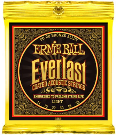 Ernie Ball EB2558 11-52 Everlast Coated 80/20 Bronze Light - Akoestische gitaarsnaren