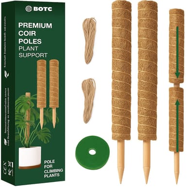 BOTC Mosstok voor Planten - 2x40cm - Plantenstok - Plantensteun - Perfect voor Monstera, Pothos en Meer
