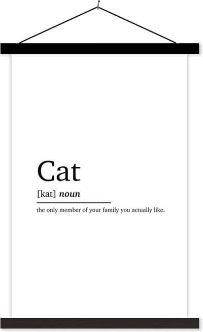Posterhanger incl. Poster 40x60 cm - Schoolplaat - Quotes - Kat definitie - Cat - Spreuken - Woordenboek - Textielposter - Zwarte latten