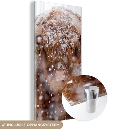MuchoWow® Glasschilderij 20x40 cm - Schilderij acrylglas - Schotse Hooglander - Horens - Sneeuw - Foto op glas - Schilderijen