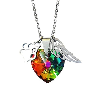 GoedeDoelen.Shop | Ketting Rainbow Bridge | Herdenking Ketting | Gedenk Ketting | Over The Rainbow Bridge | Over De Regenboog Brug |  Angel Paws | Always In My Heart | Wellness-House