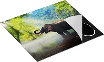 Chefcare Inductie Beschermer Olifant in het Water - 60x50 cm - Afdekplaat Inductie - Kookplaat Beschermer - Inductie Mat