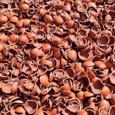 Minibag Nocciolo Hazelnoot doppen - 10m2 tuin decoratie - afstrooimiddel - alternatief cacaodoppen