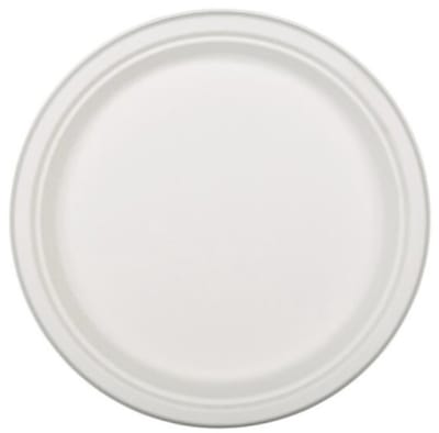 XL Borden – Suikerriet Bagasse – 26 cm – 20 stuks