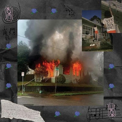 Mope Grooves - Box Of Dark Roses (+ Zine) (2 LP)