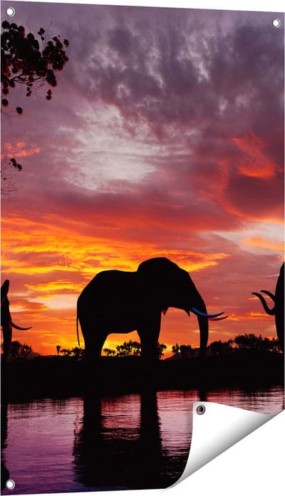 Gards Tuinposter Olifanten tijdens Zonsondergang - Silhouet - 60x90 cm - Tuindoek - Tuindecoratie - Wanddecoratie buiten - Tuinschilderij