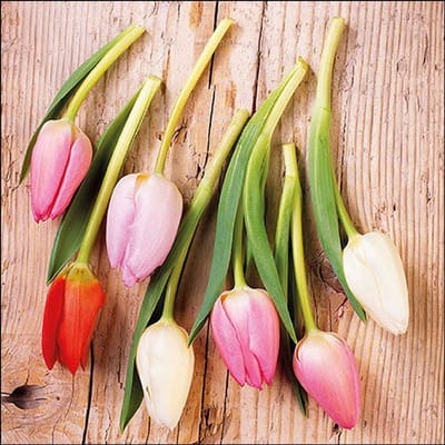 Lunch Servetten Tulips On Wood - Ambiente - 33x33 cm