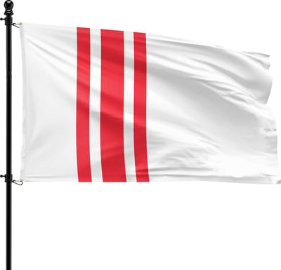VlagDirect - Oisterwijk vlag - Gemeente Oisterwijk vlag - 90 x 150 cm.