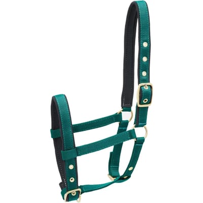 Nylon hoofdstel voor paard Kieffer