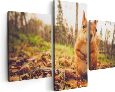 Artaza Canvas Schilderij Drieluik Eekhoorn in het Bos tijdens de Herfst - 90x60 - Foto Op Canvas - Canvas Print