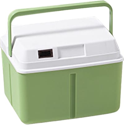 Kleine Koelbox - Draagbare Koeler - Buitenactiviteiten - Geïsoleerde Kern - 5 Liter - Enkele Kleur