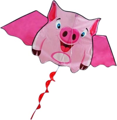 Bovista Vlieger Voor Strand - Kite Vliegers - Kindervlieger - Varken