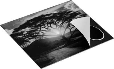 Chefcare Inductie Beschermer Zonsondergang Achter een Savanne Boom - Zwart Wit - 60x50 cm - Afdekplaat Inductie - Kookplaat Beschermer - Inductie Mat