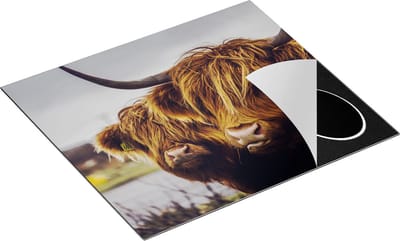 Chefcare Inductie Beschermer Twee Schotse Hooglander Koeienkoppen - 60x50 cm - Afdekplaat Inductie - Kookplaat Beschermer - Inductie Mat