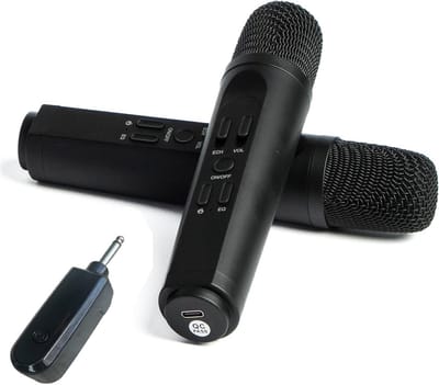 Draadloos Dubbel Microfoon Systeem voor Karaoke - 2 Handmicrofoons met USB Ontvanger