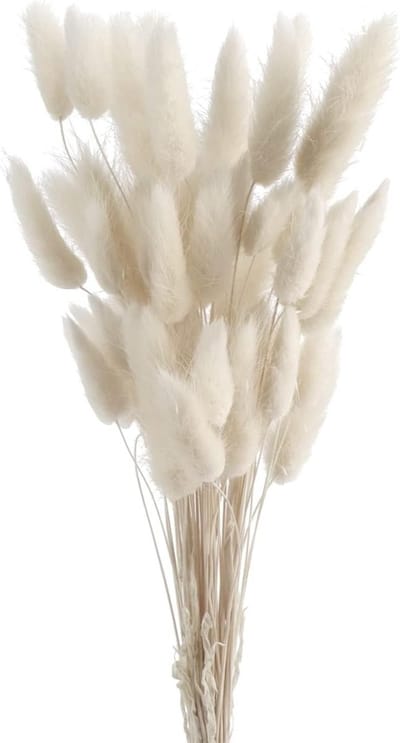 50 Stuks Konijnenstaarten, Natuurlijke Gedroogde Bloemen voor Boho Decoratie, Pampas Gras voor Thuis en Tafelversiering bij Bruiloften (Wit)
