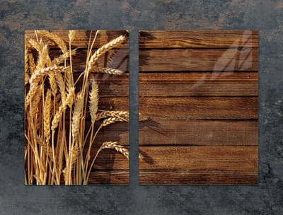 TMK ArtDeko Serie - Glazen Beschermplaat - 75x52 - Pszenica - Decoratief - Veilig