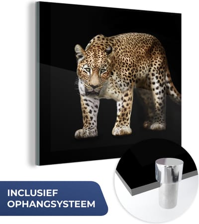 MuchoWow® Glasschilderij 50x50 cm - Schilderij acrylglas - Luipaard - Vacht - Wild - Foto op glas - Schilderijen