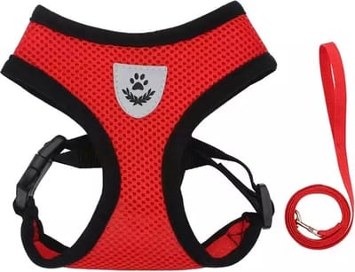 Zavelo® Honden Tuigje - Puppy en Kattentuigje - Hondenharnas - Reflecterend - Incl. Bijpassend Riempje - Rood-Maat: S
