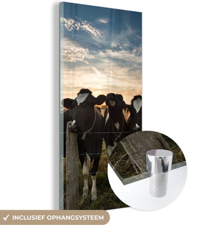 MuchoWow® Glasschilderij 20x40 cm - Schilderij acrylglas - Dieren - Koe - Koeien - Foto op glas - Schilderijen
