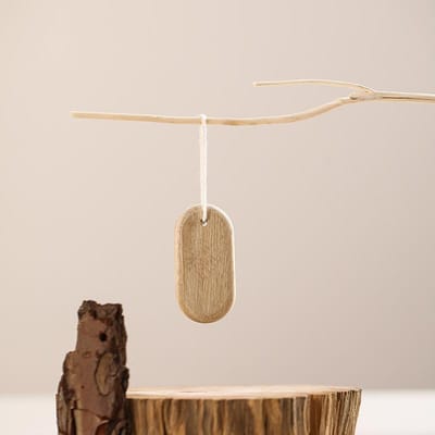 5 STUKS Kamferhout Strips voor Kledingopslag Natuurlijke Kamferhout Blokken voor het Voorkomen van Insecten Garderobekasten Lades beige