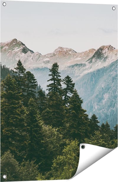 Gards Tuinposter Bos met Bomen in de Bergen - 60x80 cm - Tuindoek - Tuindecoratie - Wanddecoratie buiten - Tuinschilderij