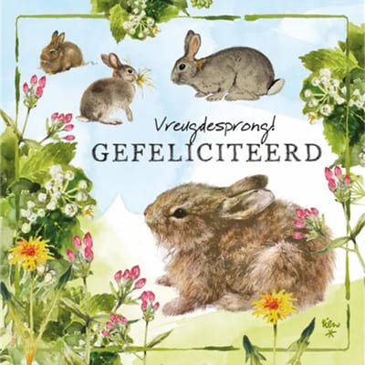 Rien Poortvliet Wenskaart Vreugdesprong Gefeliciteerd – Konijntjes – 13,5 x 13,5 cm