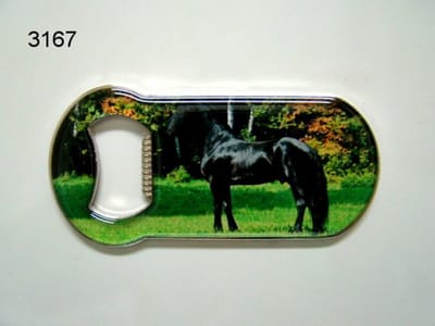 Flesopener met afbeelding Fries paard