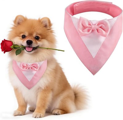 Tuxedo voor Honden, Trouwerij Bandana Kraag met Strik, Kostuum voor Kleine Honden, Perfect voor Huwelijk en Feestelijkheden (Hals: 20-30cm/Pink)
