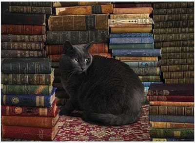 Legpuzzel Bibliotheek Kat - Puzzel Dieren Kattenpuzzel - Ontspanning Thuis - Willekeurig Gesneden Stukjes - 1000 Stukjes - Diverse Kleuren