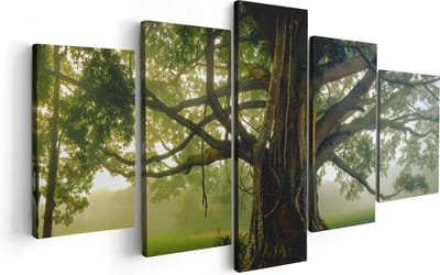 Artaza Canvas Schilderij Vijfluik Grote Levensboom Met Veel Takken - 100x50 - Foto Op Canvas - Canvas Print