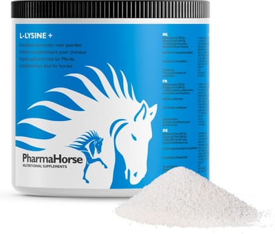 L-Lysine+ paard 500 gram